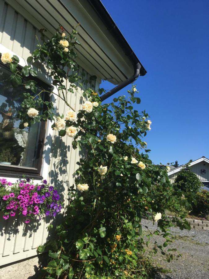 Airbnbekasberg Olofstorp Esterno foto