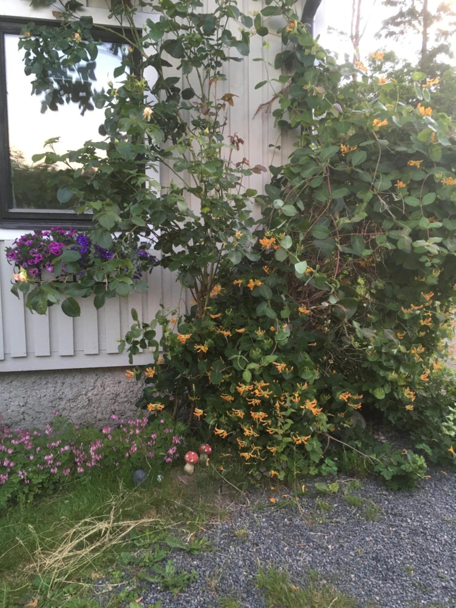 Airbnbekasberg Olofstorp Esterno foto