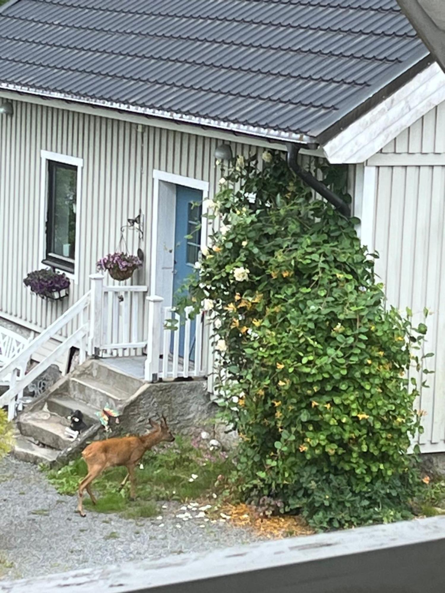 Airbnbekasberg Olofstorp Esterno foto